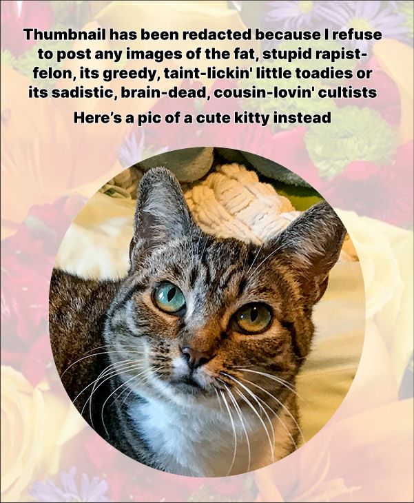 thumbnail contains images of the fat, malignant, stupid rapist-felon, its cowardly, greedy, taint-lickin' little toadies and/or its sadistic, brain-dead, cousin lovin' cultists. so i substitute a pic of a cute kitty!