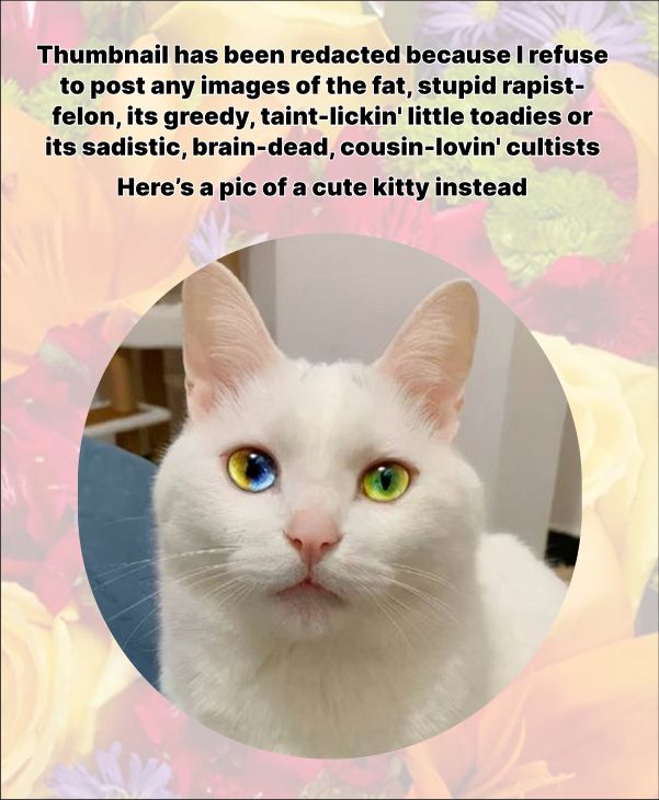 thumbnail contains images of the fat, malignant, stupid rapist-felon, its cowardly, greedy, taint-lickin' little toadies and/or its sadistic, brain-dead, cousin lovin' cultists. so i substitute a pic of a cute kitty!