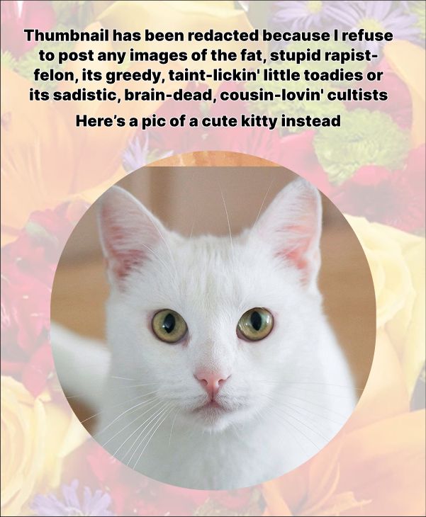 thumbnail contains images of the fat, stupid rapist-felon, its greedy, taint-lickin' little toadies and/or its sadistic, brain-dead, cousin-lovin' cultists. so i substitute a pic of a cute kitty!