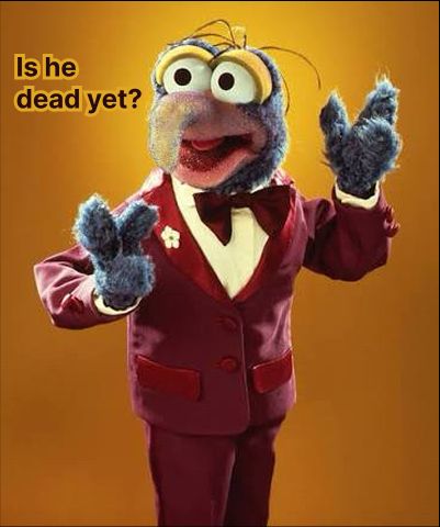 just my daily, homemade "Is he dead yet?" meme, this time featuring Gonzo the Muppet wearing a red suit & bow tie
