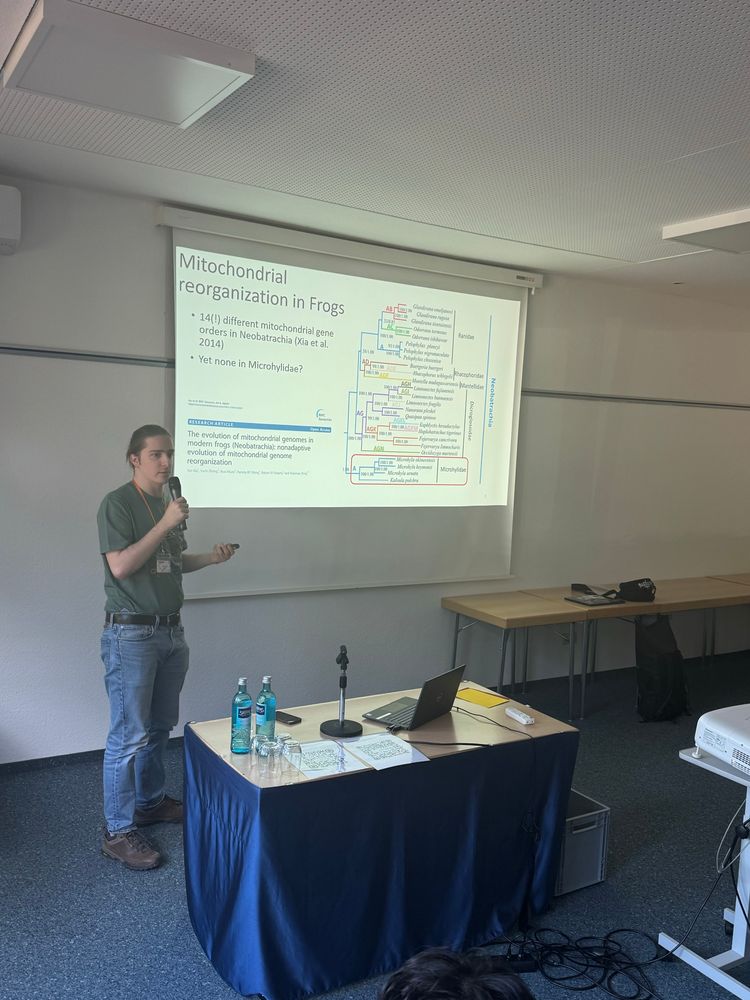 Collin in action talking about how diverse mitochondrial genome organisation is in amphibians 