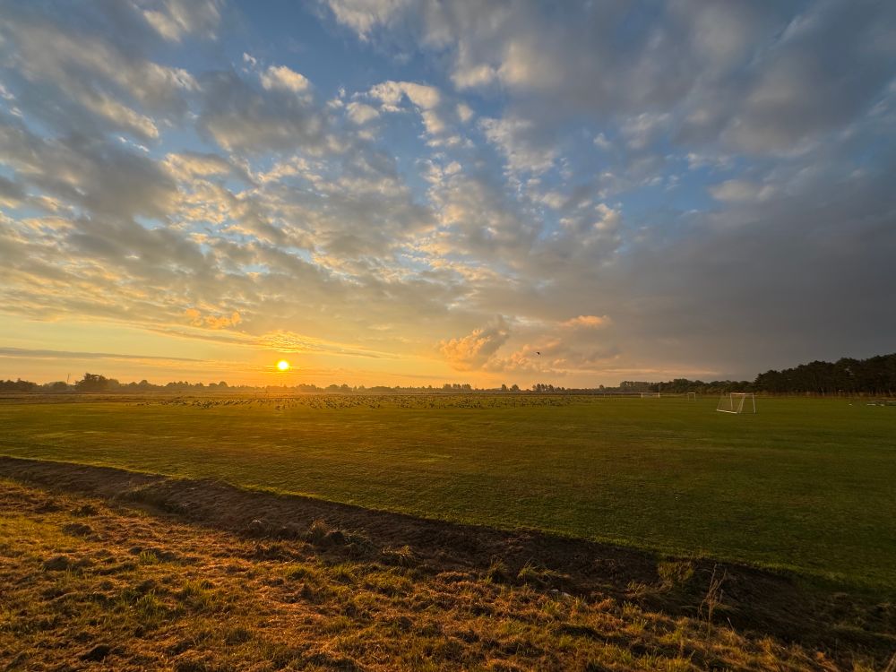 A sunrise over a football field full of geese. 