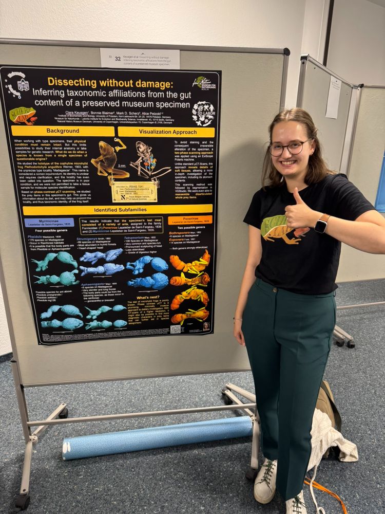 Clara, wearing a T-shirt of my lab, beside her stunning black poster with brightly coloured images on it. The title:Dissecting without damage: inferring taxonomic affiliations from the gut content of a preserved museum specimen. It’s about an awfully preserved type specimen we scanned using phase-contrast CT, and segmenting the many ants it had in its gut to find out what kind of ants they were, and where it might have come from. 