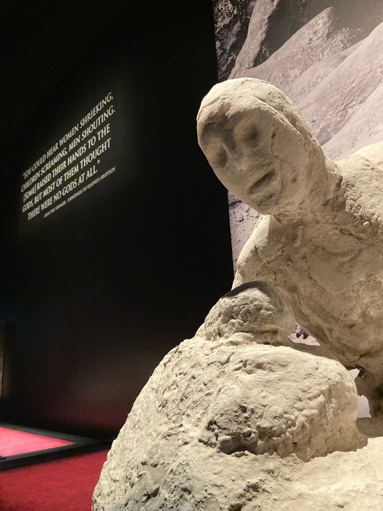 Body cast from Pompeii with a quote from Pliny on the wall: “YOU COULD HEAR WOMEN SHRIEKING, CHILDREN SCREAMING. MEN SHOUTING.
SOME RAISED THEIR HANDS TO THE GODS BUT MOST OF THEM THOUGHT
THERE WERE NO GODS AT ALL.”