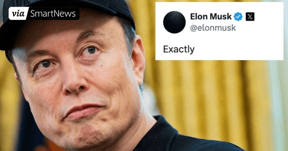 Elon Musk's Latest Tweet Storm Is Surely Going To Piss Donald Trump Off (BuzzFeed)