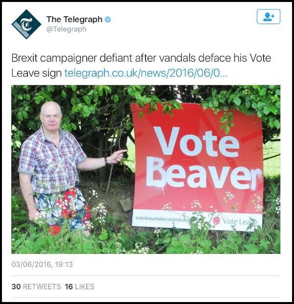 VOTE BEAVER