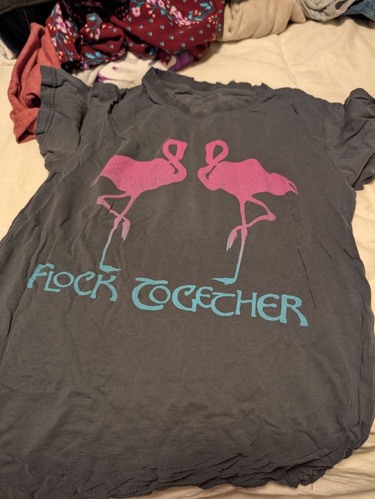A grey T-shirt laying on a bed, with more clothes visible at the top. 

The short has two pink flamingos facing each other, the colour of their legs ombres into light blue and the words "flock together" is written under them into the same blue 
