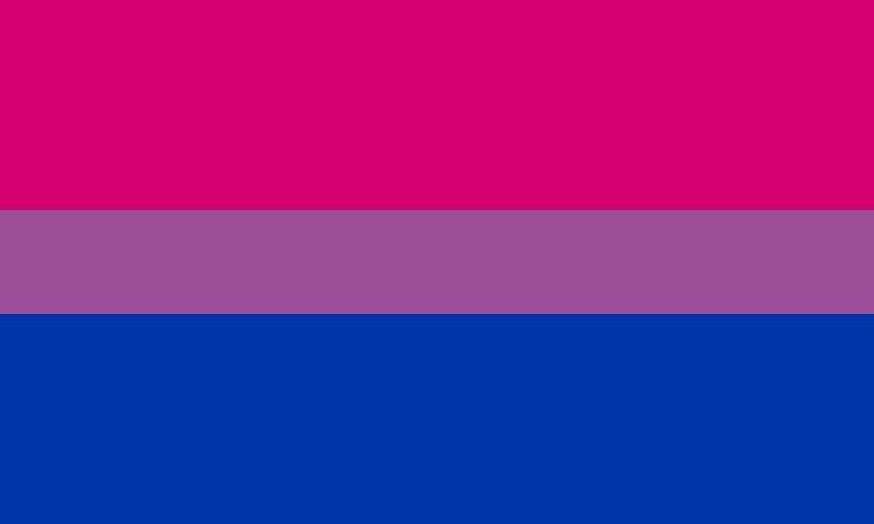 The Bisexual pride flag. Three horizontal stripes in different colors; Dark pink on top, purple in the middle, and dark blue at the bottom