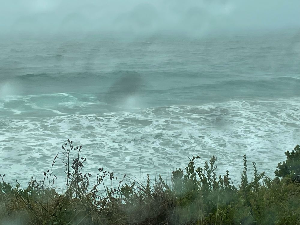 Foaming waves of ocean with grass in front. 