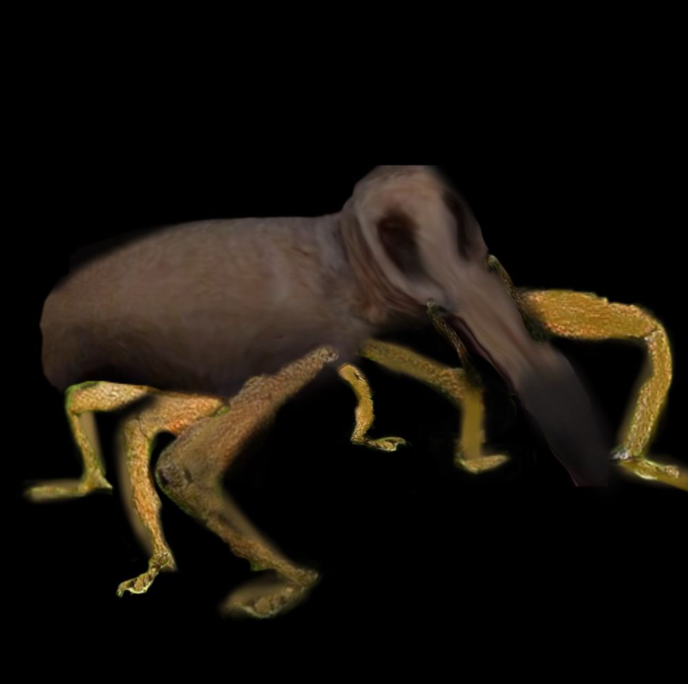 Comment image