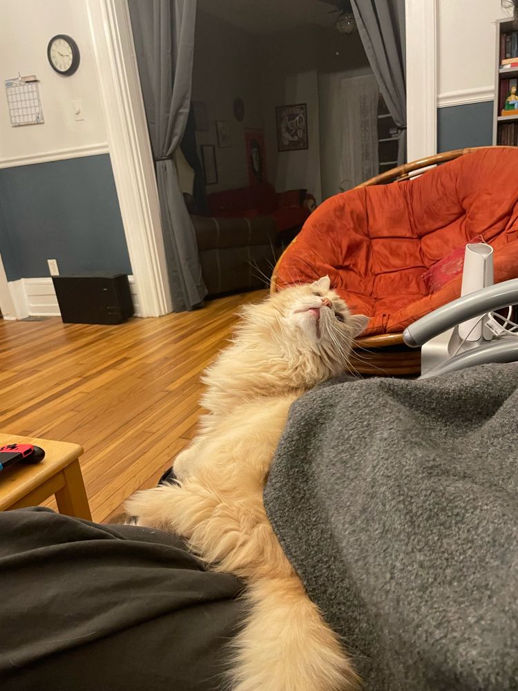 Really dude? Adoration now?