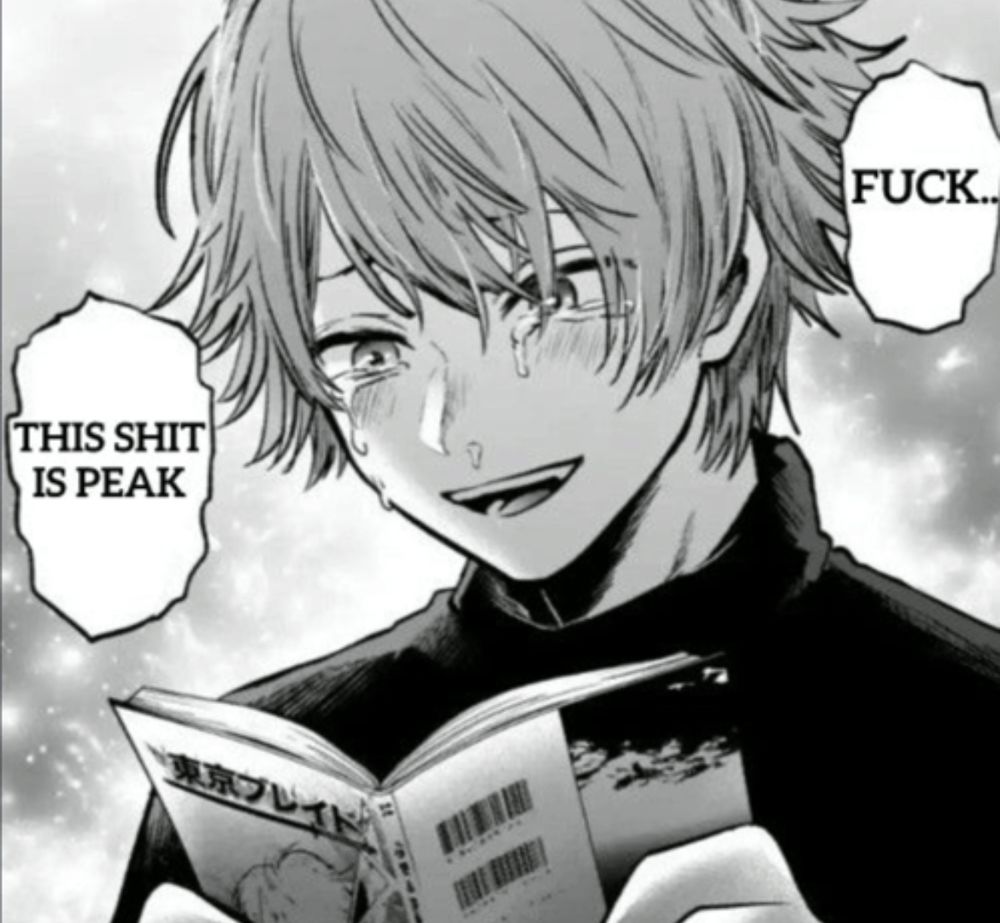 Person looking at a manga with text saying: Fuck… this shit is peak
