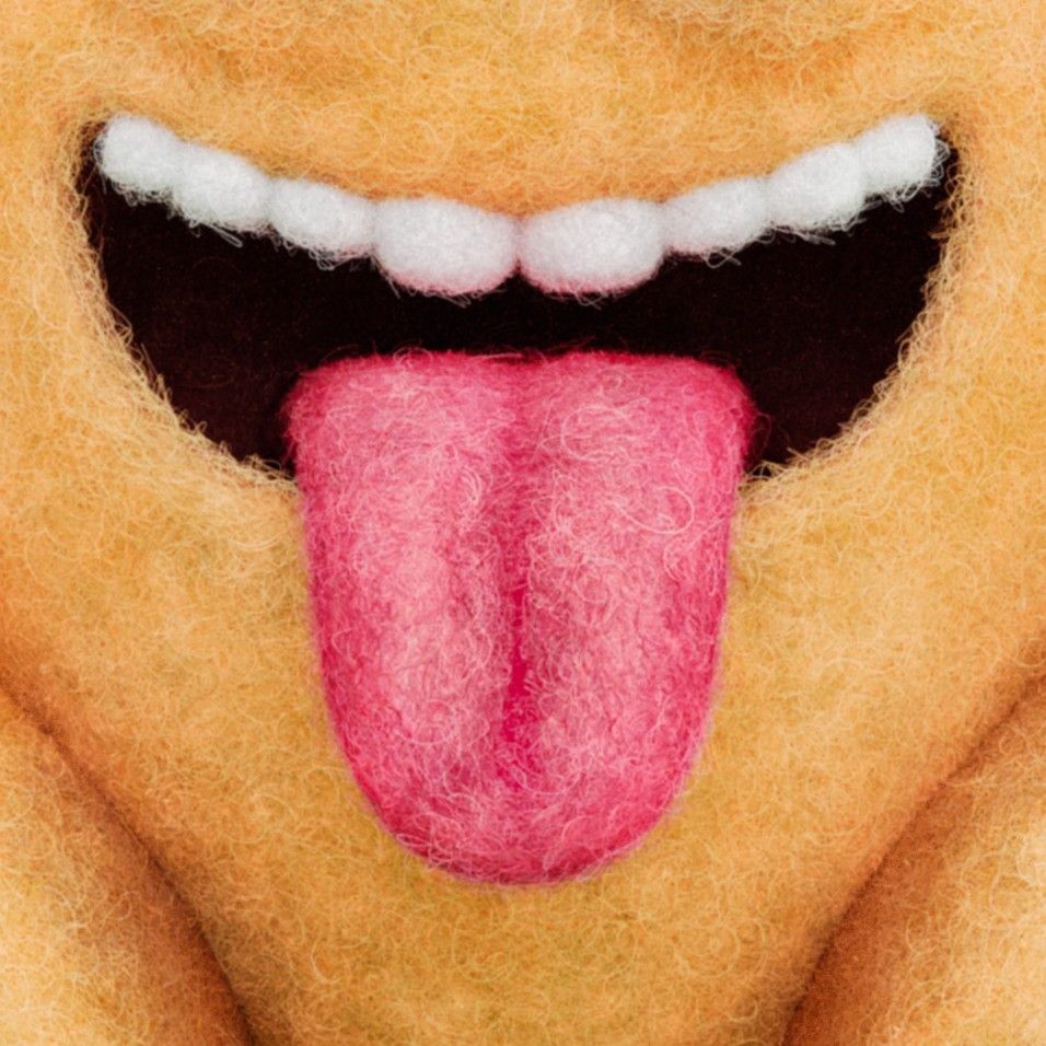 Closeup of the tongue on a digitally sculpted felted turkey with a face where it shouldn't be.