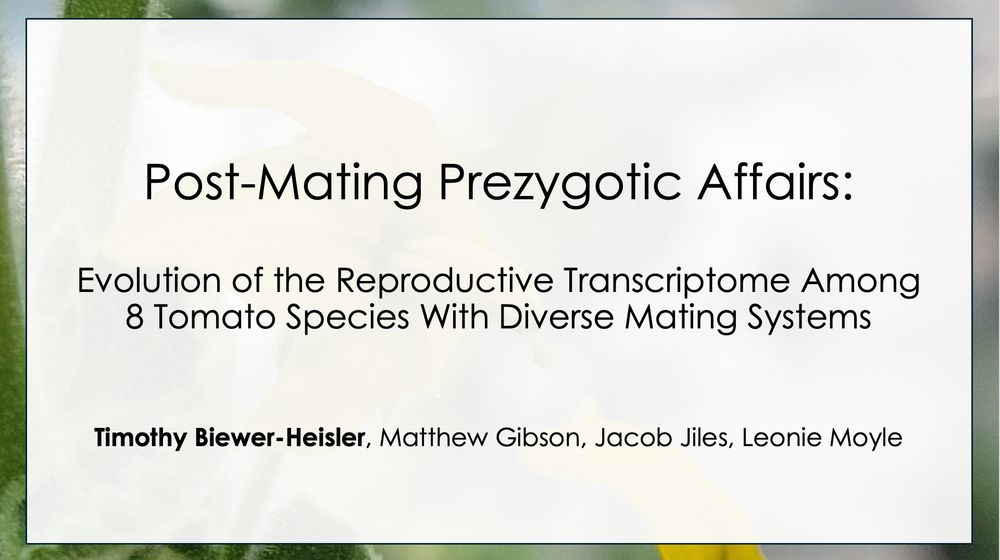 Title slide of a talk which reads: 
"Postmating prezygotic affairs: evolution of the reproductive transcriptome among 8 tomato species with diverse mating systems"
Timothy Biewer-Heisler, Matthew Gibson, Jacob Jiles, and Leonie Moyle