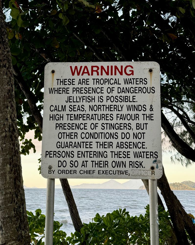 Signs reads, in part: WARNING, these are tropical waters where presence of dangerous jellyfish is possible…. Persons entering these waters do so at their own risk.”