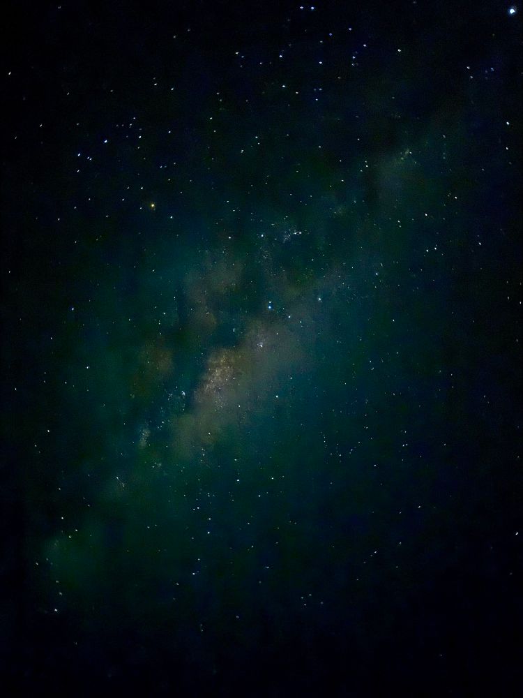 hundred of stars sprinkled against a faint milky blue night sky