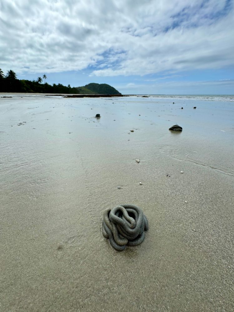 a spiral, poop-like structure sits on a glossy beach. similar structures are in the distance. the sky is bright blue with clouds.