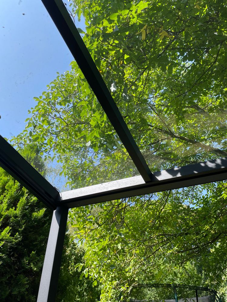 Blick in den blauen Himmel, grüner Baum, Stahlkonstruktion von der Terrassenüberdachung ist zu sehen, das Glas scheint sauberer zu sein als es ist.