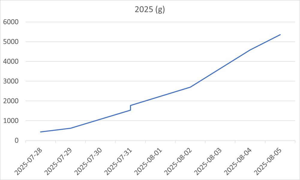 Excel line chart showing the accumulation of blackberries over time as they were picked in my backyard in 2025 (this year)