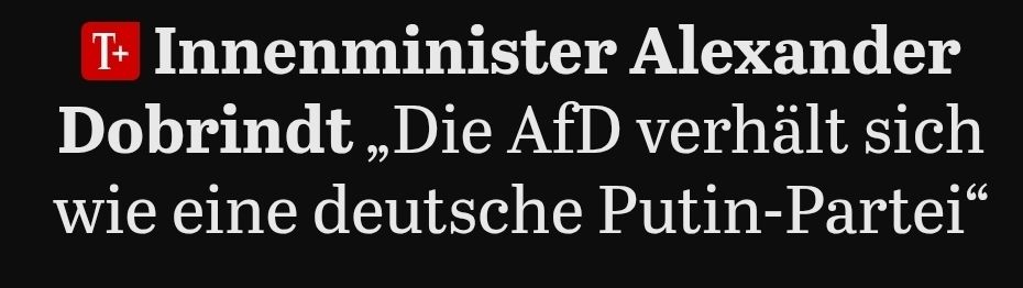 screenshot von der headline eines tagesspiegel artikels:

"Innenminister Alexander Dobrindt „Die AfD verhält sich wie eine deutsche Putin-Partei“"
