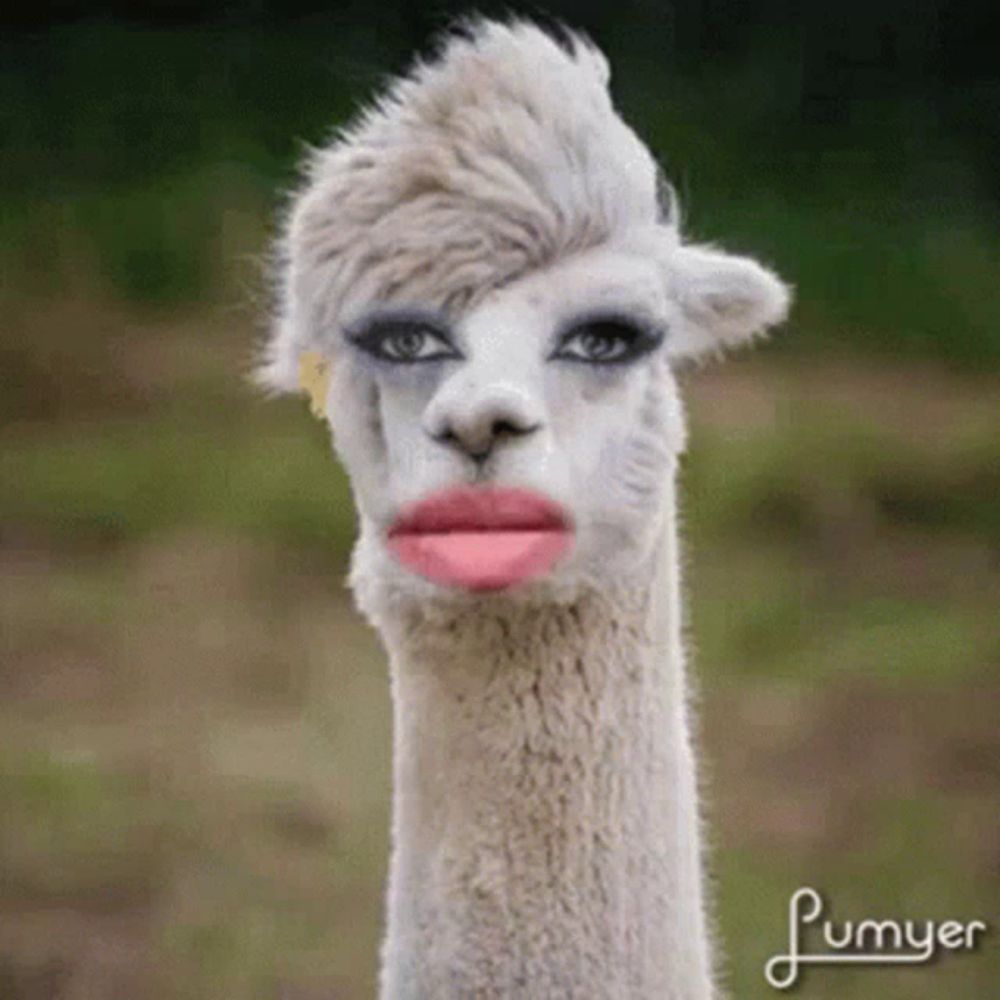 a close up of a llama with makeup on its face and plumyer written below it