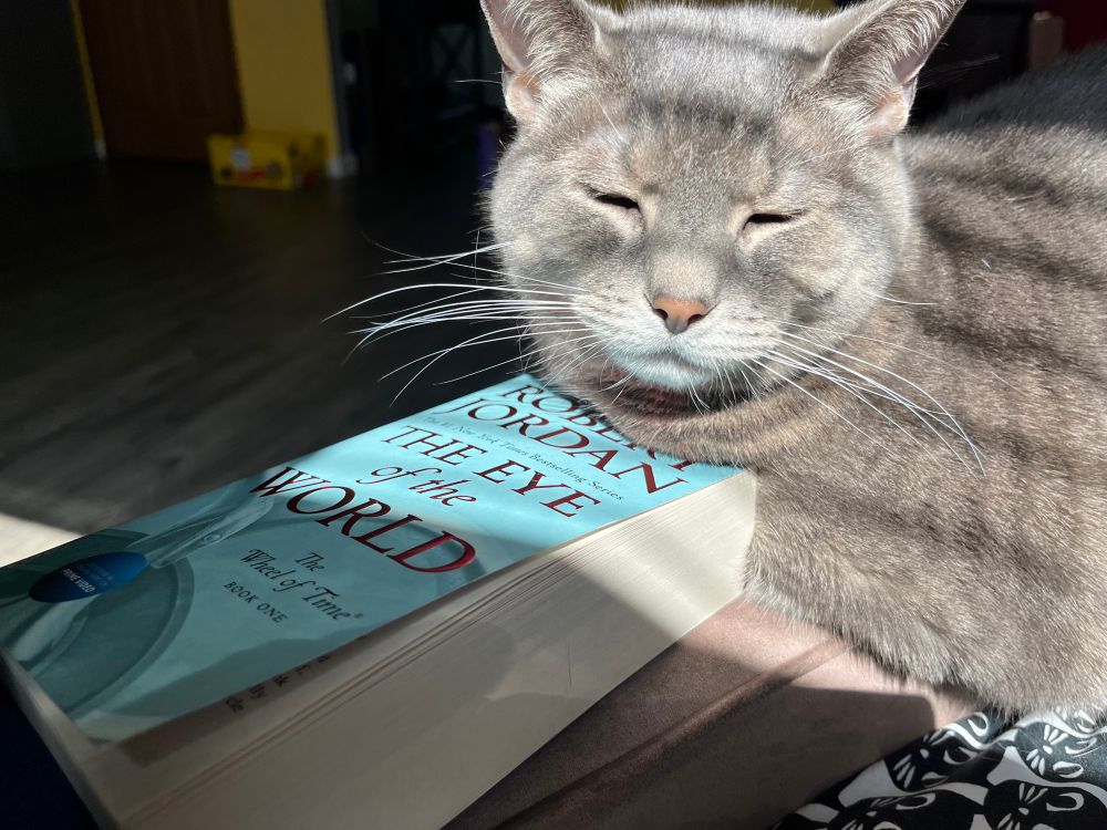 Sleepy gray cat with his head on a copy of Robert Jordan’s book The Eye of the World