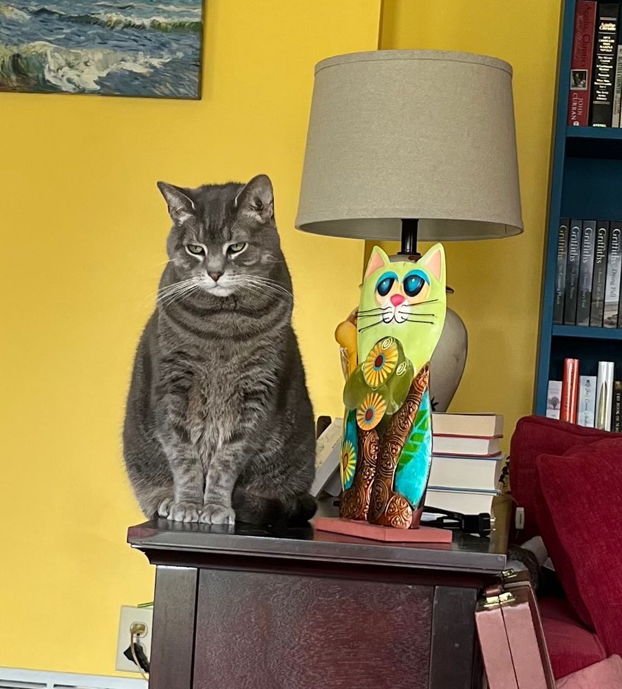 Gray cat with judgy look on his face next to colorful metal cat sculpture 
