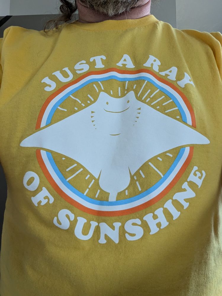 My T-shirt today is bright yellow and reads “just a ray of sunshine” with a cartoon stingray on it. 