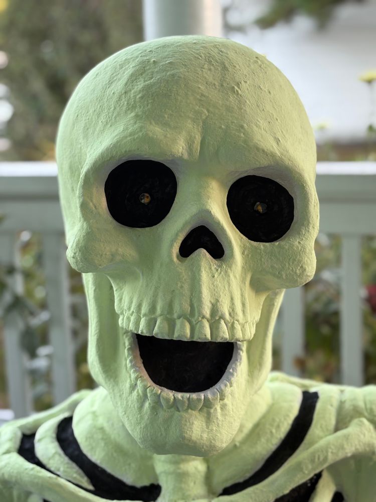 skeleton portrait