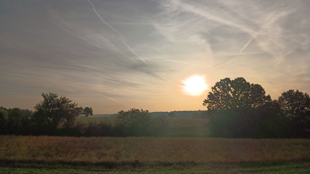 Silhouetted landscape with low yellow sun shown though clouds on the right of the picture, some wispy clouds around it. Horizon is across middle of the image, several isolated round tree crowns rise above the line of the hill.