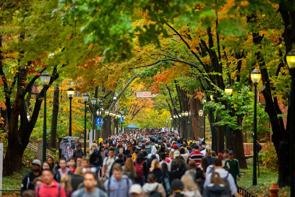 Locust Walk, our campus's main 6-block-long promenade under a leafy canopy. This could be the path you walk to the office every day!