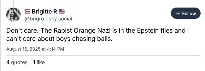 Post that says "Don't Care. The Rapist Orange Nazi is in the Epstein Files and I don't care about boys chasing balls."

In response to a sports post.