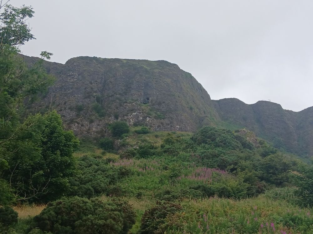 View of Cavehill from approaching path, scrub and trees in front of the cliffs, cloudy sky