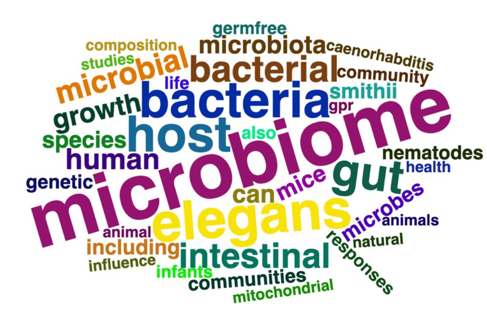 Wordcloud of pubmed abstracts for Buck Samuel with microbiome, elegans and gut being the largest words.