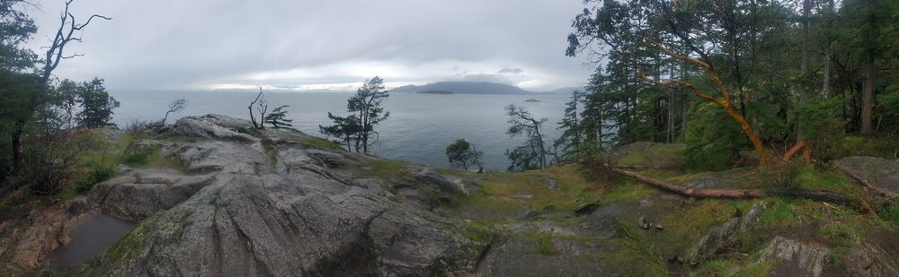 Slightly blurry panoramic picture of a rocky and treed point over looking the ocean. In the far distance other land masses poke out from the ocean. The skies are grey, the rock is wet, a red-orange Arbutus tree stands on the right side.
