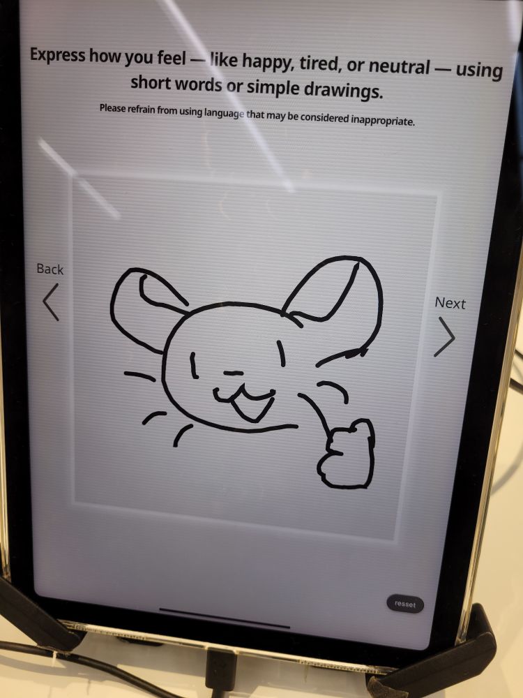 an iPad that shows the text, "Express how you feel - like happy, tired, or neutral - using short words or simple drawings. Please refrain from using language that may be considered inappropriate."
under it is a square box that has a crudely drawn rat in it, smiling widely and giving a thumbs up