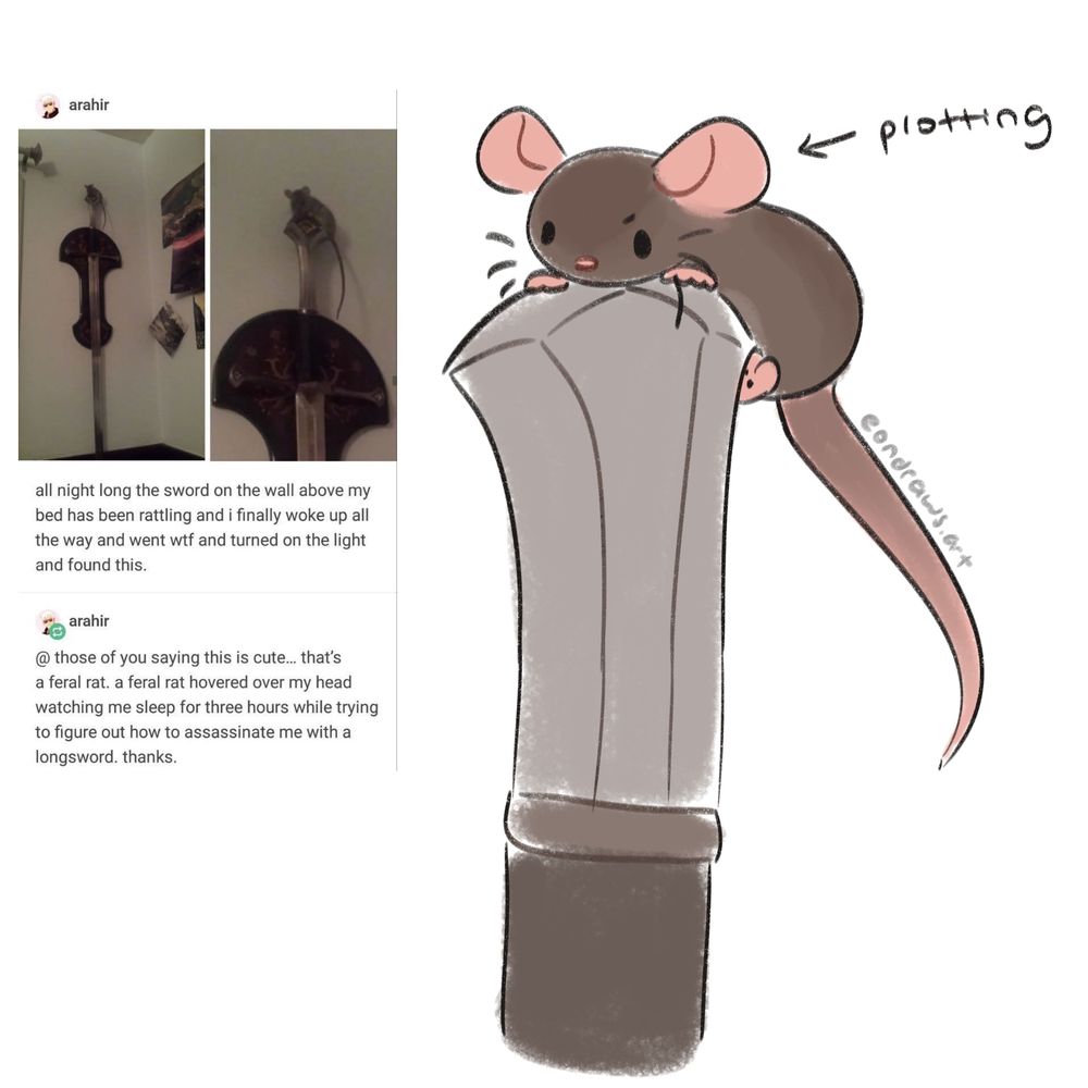a redraw of a tumblr post. the tumblr post goes, "all night long the sword on the wall above my bed has been rattling and i finally woke up all the way and went wtf and turned on the light and found this." attached are pictures of a feral rat perching on top of a sword. the OP continues, "@ those of you saying this is cute... that's a feral rat. a feral rat hovered over my head watching me sleep for three hours while trying to figure out how to assassinate me with a longsword. thanks."

i have drawn the rat in my style, hanging out on top of the sword, staring down menacingly. they are plotting. still, they're cute.