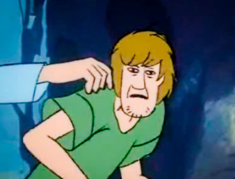 Shaggy from Scooby Doo with a look of disdain on his face.