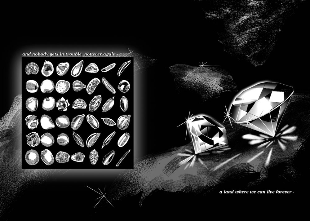 A black panel filled with the tiny seeds of different plant species, lined up like the shelves of a library. The background opens up to show diamonds nestled in together at the bottom of some dark cavern.

Text: "and nobody gets in trouble, not ever again - a land where we can live forever -"