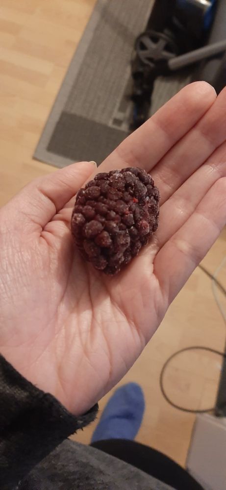 a ginormous frozen blackberry