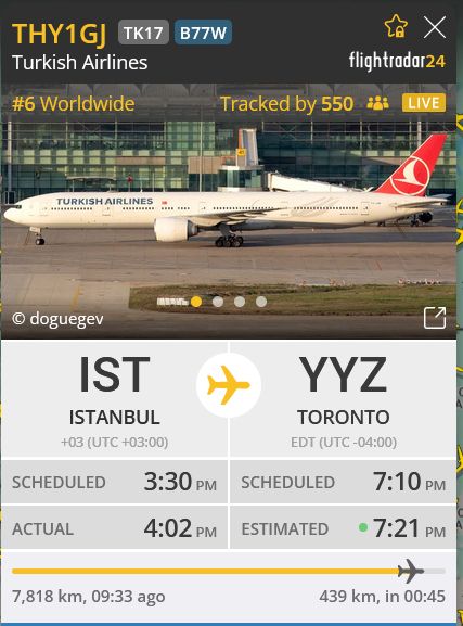 Capture d'écran du site FlightRadar24, qui montre un avion de Turkish Airlines.