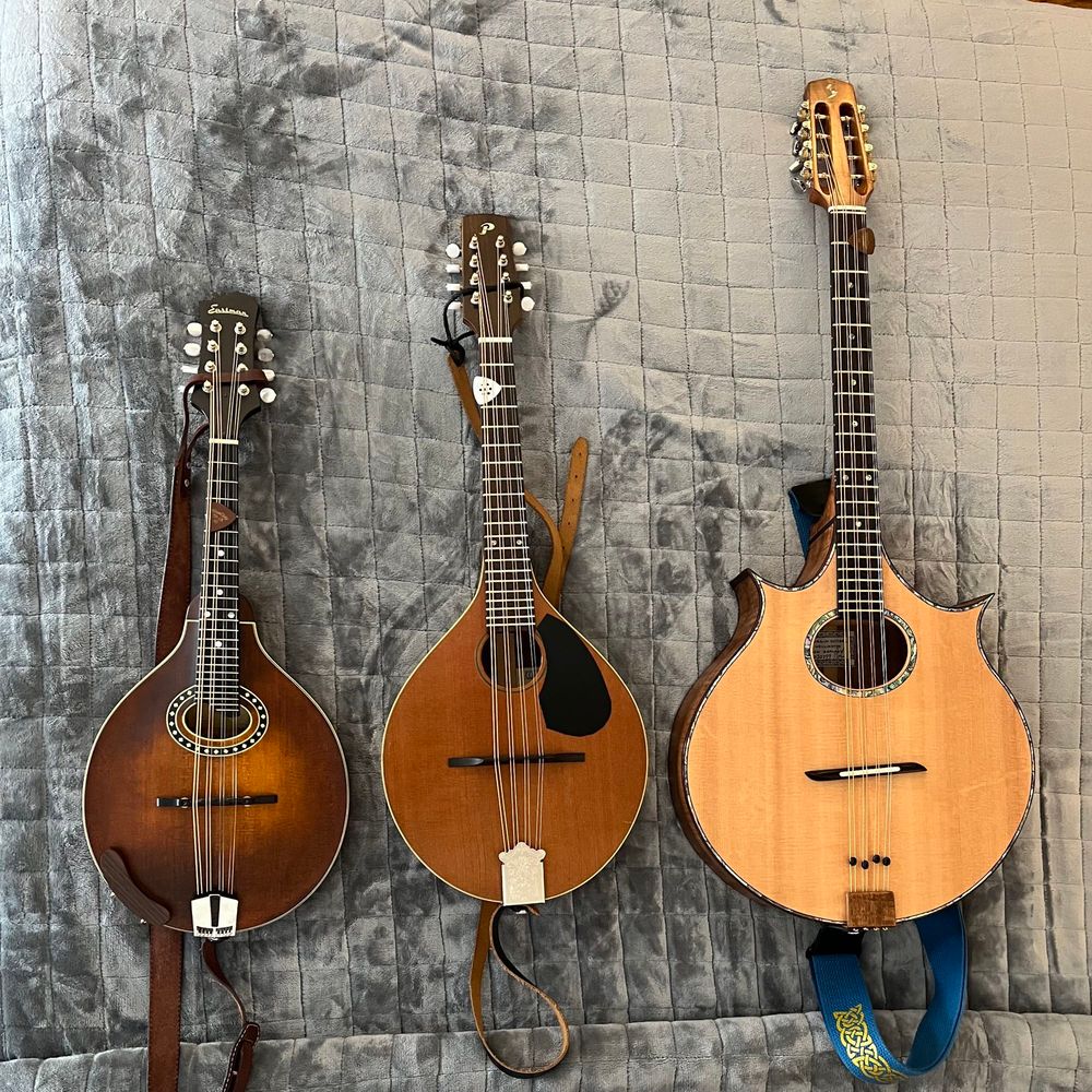 Three mandolin family instruments. Eastman mandolin (left) Bill Patterson mandola (middle) Paddy Burgin Irish bouzouki (right)