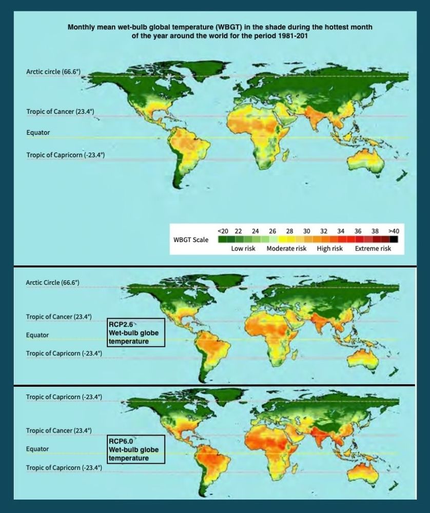 3 figures showing different states 1: Monthly mean wet-bulb global temperature (WBGT) in the shade during the hottest month of the year around the world (0 .5° × 0 .5° grid cells) for the period 1981–2010. Source: See Kjellstrom et al. (19) 2. Monthly mean WBGT in the shade during the hottest month of the year around the world (0.5° × 0.5° grid cells) for the end of the century (2071–2099) if aggressive measures are taken to reduce greenhouse gas emissions to keep the global mean temperature at a maximum 1.5°C increase with a decreasing trend in the second half of this century (RCP2.6, top panel), or if countries implement existing national policies (RCP6.0, bottom panel). Source: International Labour Organization, Working on a warmer planet (5)