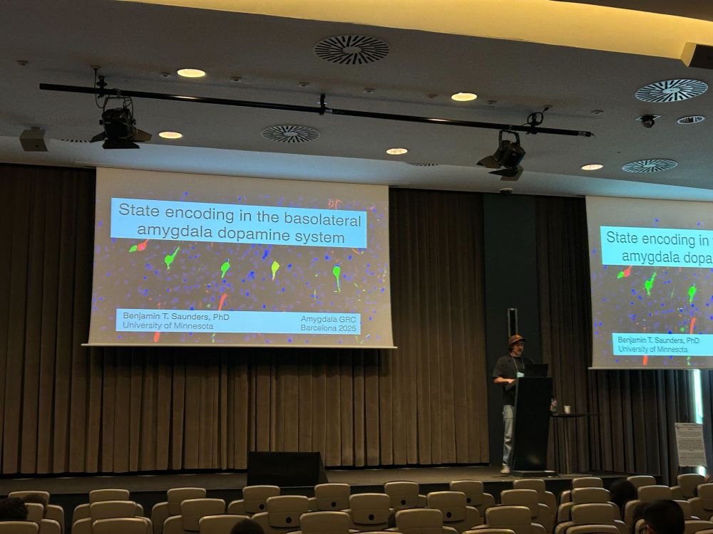 Researcher presenting on stage in front of a large screen