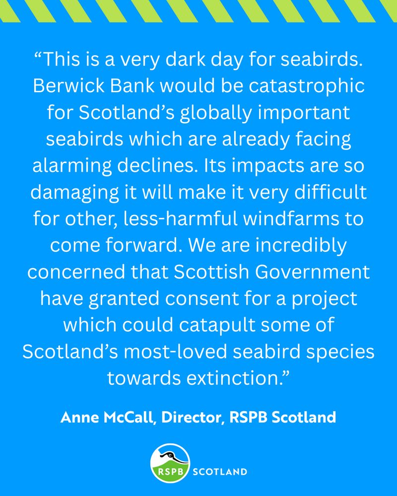 “This is a very dark day for seabirds.
Berwick Bank would be catastrophic for Scotland’s globally important seabirds which are already facing alarming declines. Its impacts are so damaging it will make it very difficult for other, less-harmful windfarms to come forward. We are incredibly concerned that Scottish Government have granted consent for a project which could catapult some of Scotland’s most-loved seabird species towards extinction.”