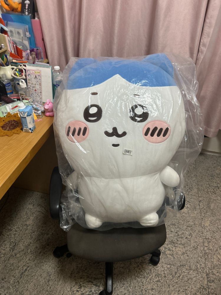 my son hachiware sits on my chair for he is the boss of this household. i kneel by his feet. there is no room for me.