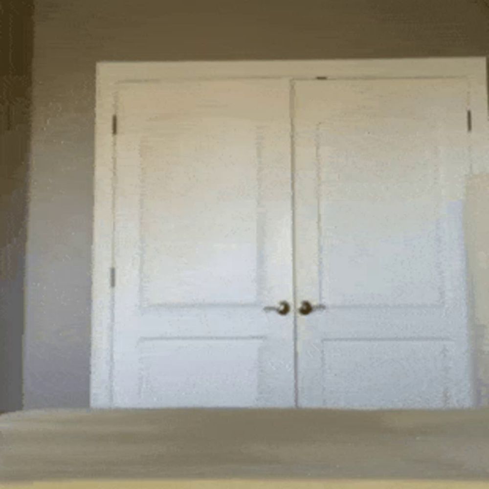 a pair of white doors are open to a closet