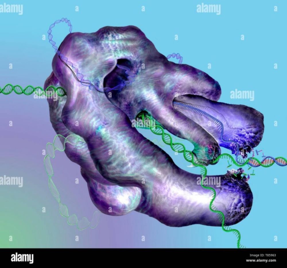 Gene Editor for Vision Improvement