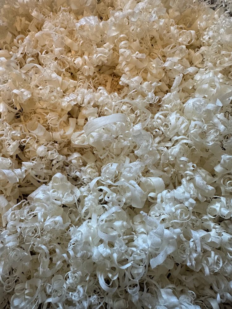 A big pile of sycamore wood shavings. They’re curly and fluffy, and the image is lit on a gradient from gentle warm tones to cooler blue
