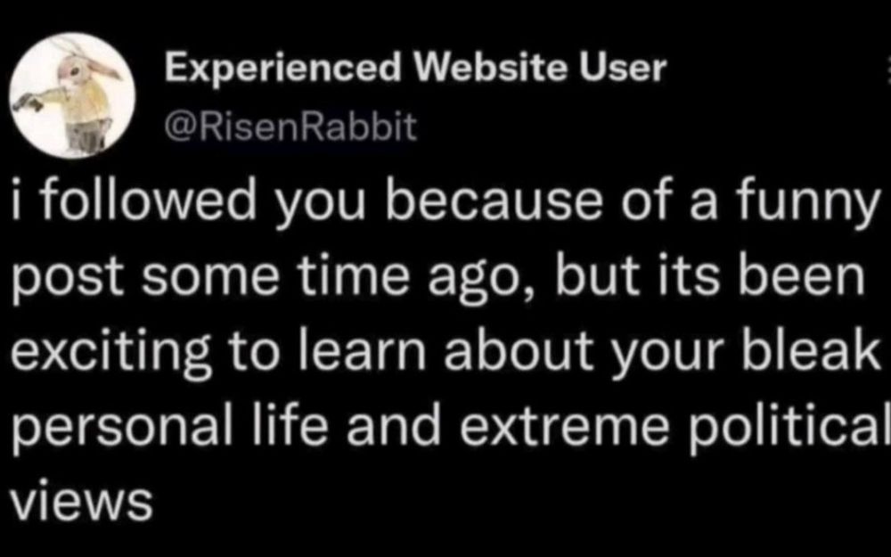 A tweet screenshot reading

Experienced Website User
@RisenRabbit
i followed you because of a funny post some time ago, but its been exciting to learn about your bleak personal life and extreme political views